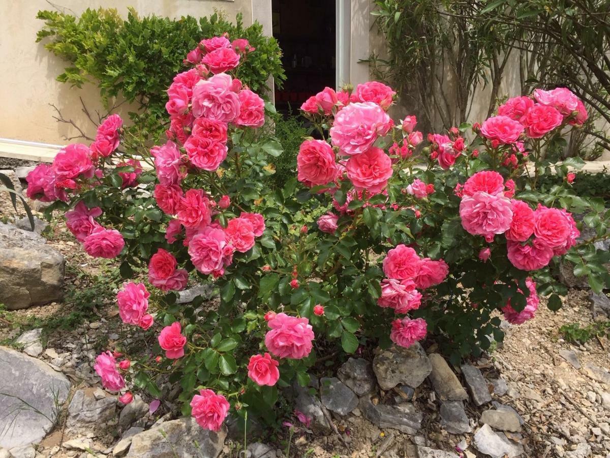 Bastide Saint-Thomé מראה חיצוני תמונה